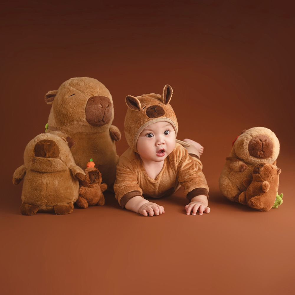 Perlengkapan Fotografi Tema Pe - Photography Day ulasan dan harga