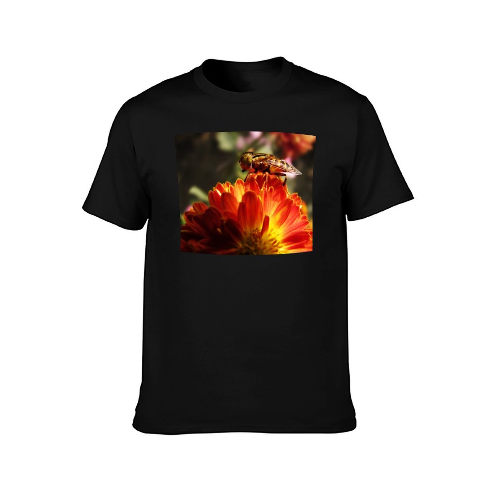 Lebah Di Atas Bunga - Kaos Fot - Photography Basics ulasan dan harga